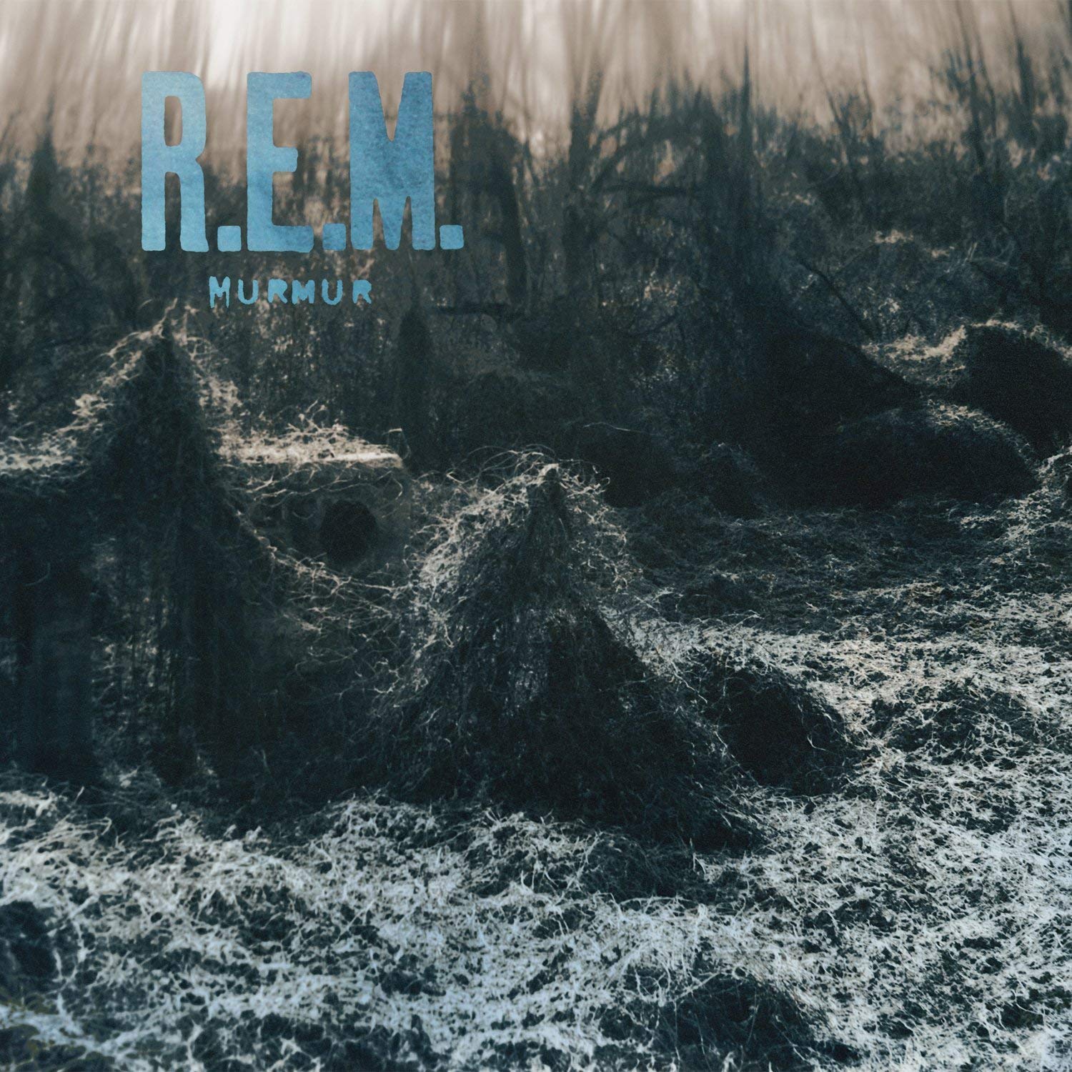 Ｒ.Ｅ.Ｍ.「Murmur」 Murmur – Tagged 